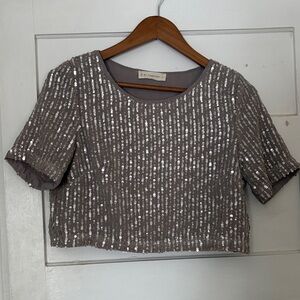 Sequin Embellished Gray Crop Top